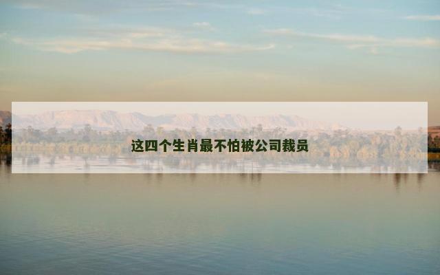 这四个生肖最不怕被公司裁员