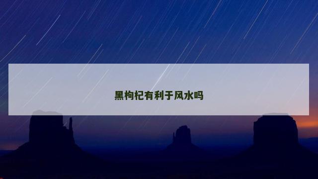 黑枸杞有利于风水吗