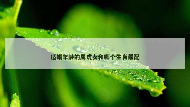 适婚年龄的属虎女和哪个生肖最配