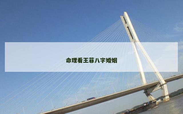 命理看王菲八字婚姻