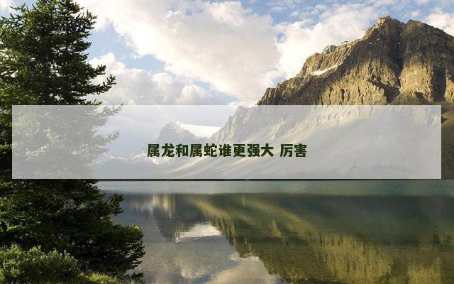 属龙和属蛇谁更强大 厉害