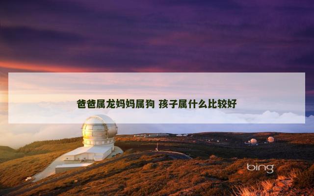 爸爸属龙妈妈属狗 孩子属什么比较好