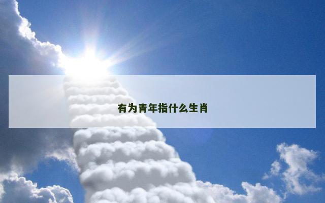 有为青年指什么生肖