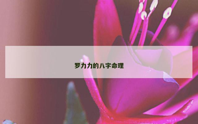 罗力力的八字命理