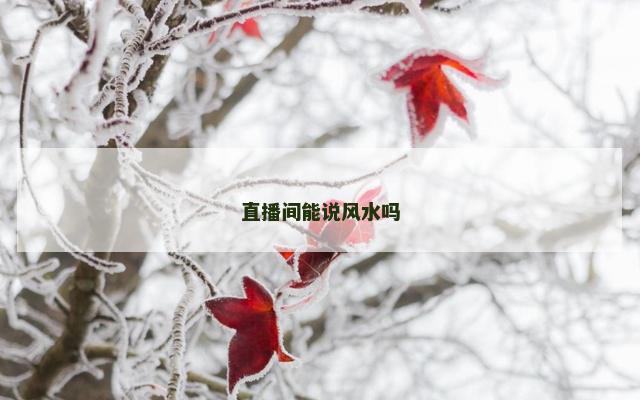 直播间能说风水吗