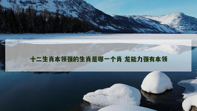 十二生肖本领强的生肖是哪一个肖 龙能力强有本领