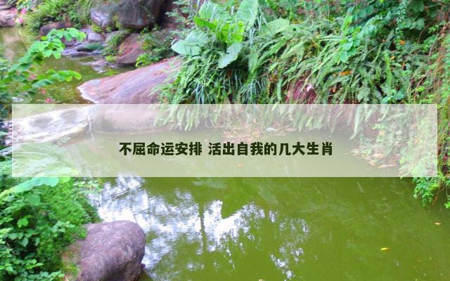 不屈命运安排 活出自我的几大生肖