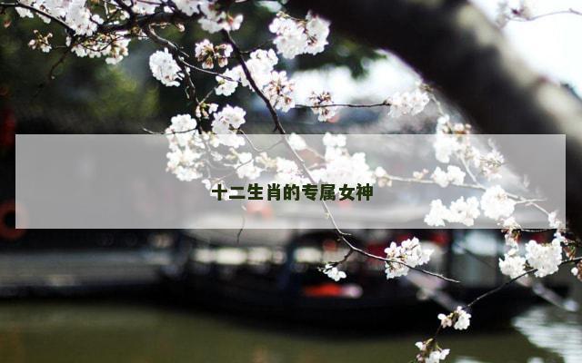 十二生肖的专属女神
