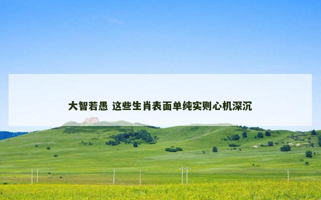 大智若愚 这些生肖表面单纯实则心机深沉