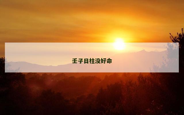 壬子日柱没好命
