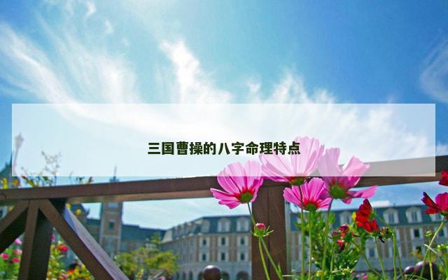 三国曹操的八字命理特点
