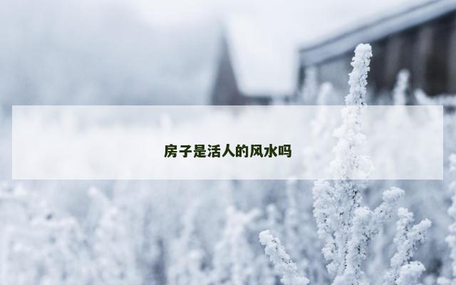 房子是活人的风水吗