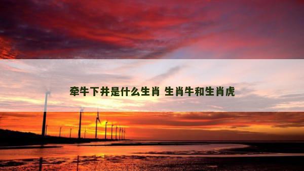 牵牛下井是什么生肖 生肖牛和生肖虎