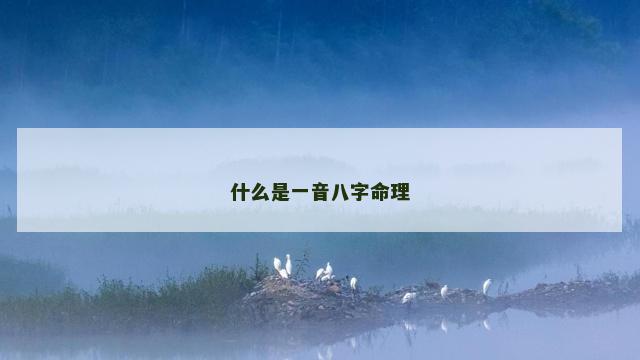 什么是一音八字命理