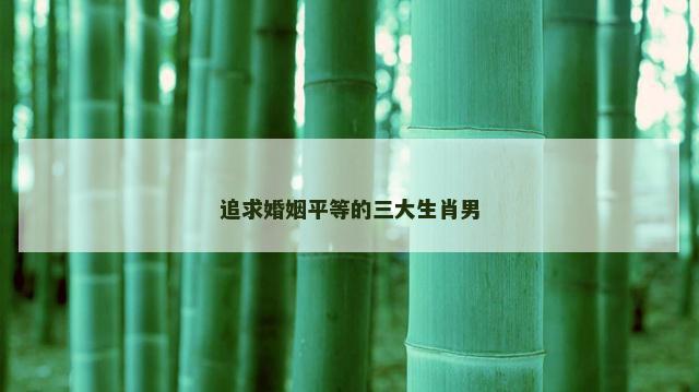 追求婚姻平等的三大生肖男