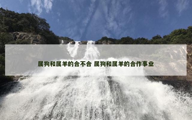 属狗和属羊的合不合 属狗和属羊的合作事业