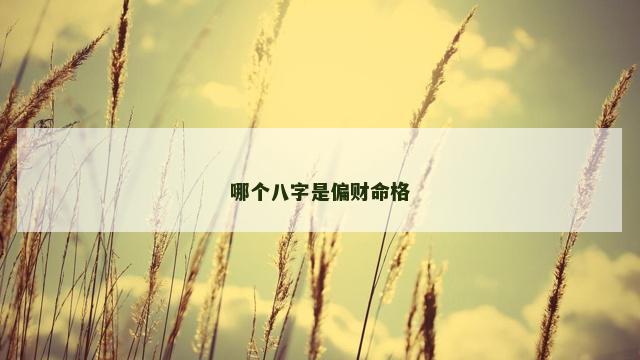 哪个八字是偏财命格