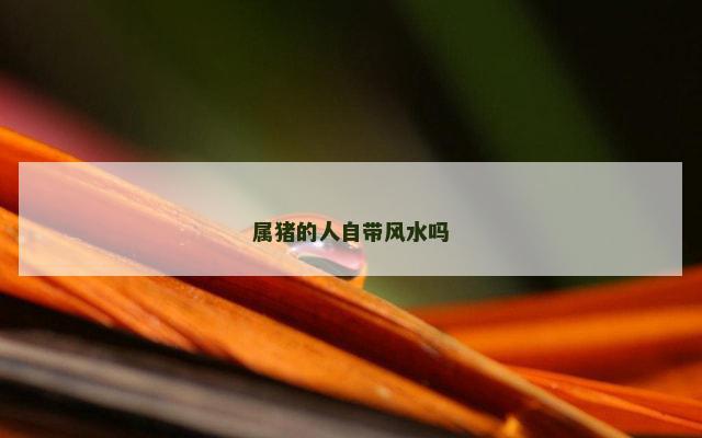 属猪的人自带风水吗