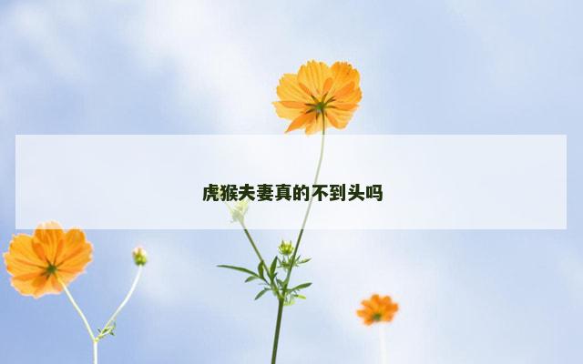 虎猴夫妻真的不到头吗