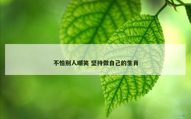 不怕别人嘲笑 坚持做自己的生肖