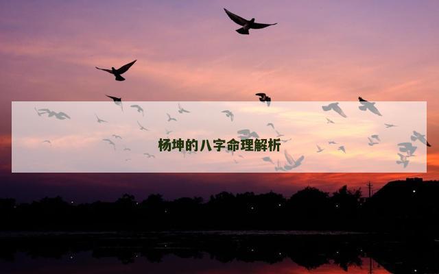 杨坤的八字命理解析