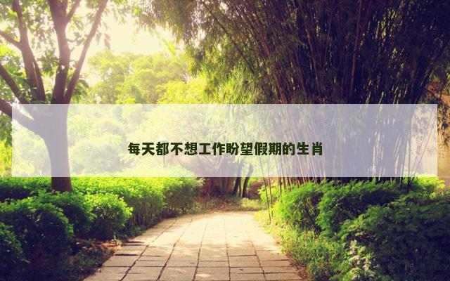 每天都不想工作盼望假期的生肖