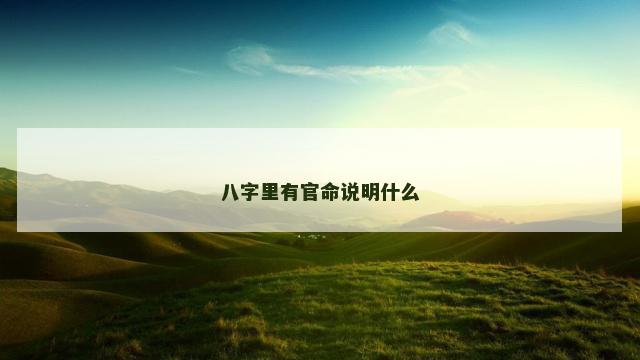 八字里有官命说明什么