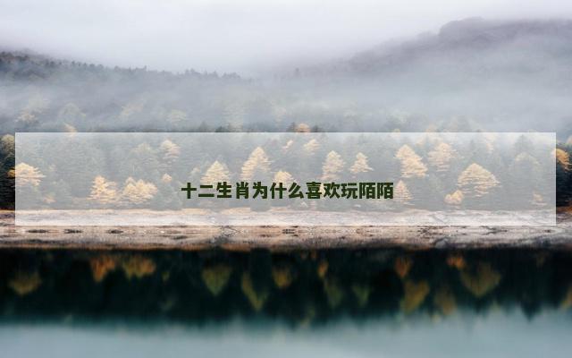 十二生肖为什么喜欢玩陌陌