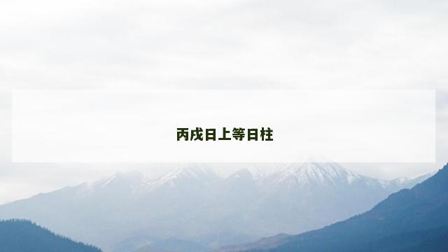 丙戌日上等日柱 丙戌日上等日柱