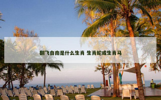 翻飞自南是什么生肖 生肖蛇或生肖马 翻飞自南是什么生肖 生肖蛇或生肖马