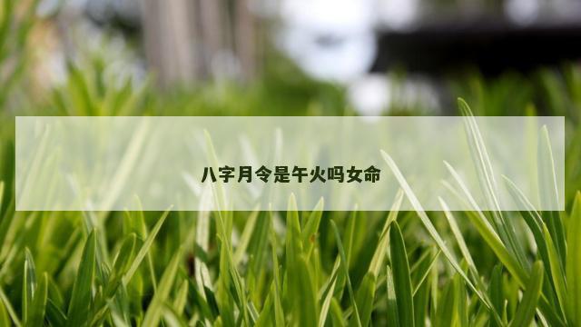 八字月令是午火吗女命