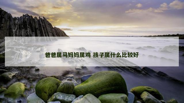 爸爸属马妈妈属鸡 孩子属什么比较好