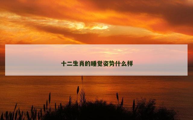 十二生肖的睡觉姿势什么样