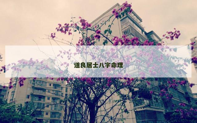 道良居士八字命理