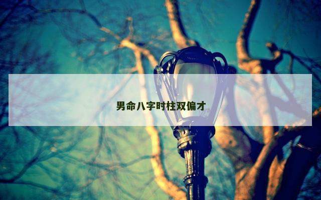 男命八字时柱双偏才 男命八字时柱双偏才