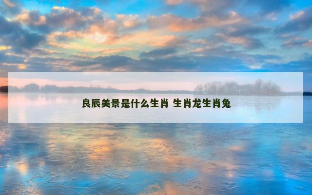 良辰美景是什么生肖 生肖龙生肖兔