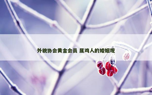 外貌协会黄金会员 属鸡人的婚姻观