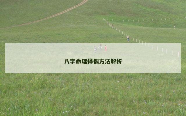 八字命理择偶方法解析 八字命理择偶方法解析