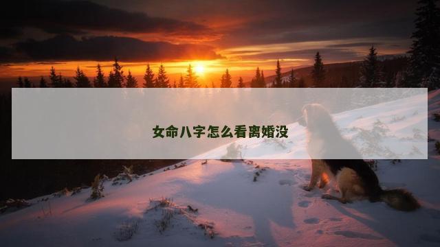 女命八字怎么看离婚没