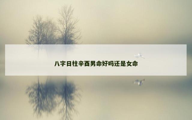 八字日柱辛酉男命好吗还是女命