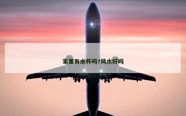 家里有水杯吗?风水好吗 家里有水杯吗?风水好吗