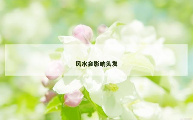 风水会影响头发