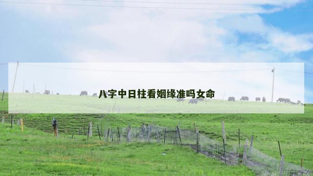 八字中日柱看姻缘准吗女命
