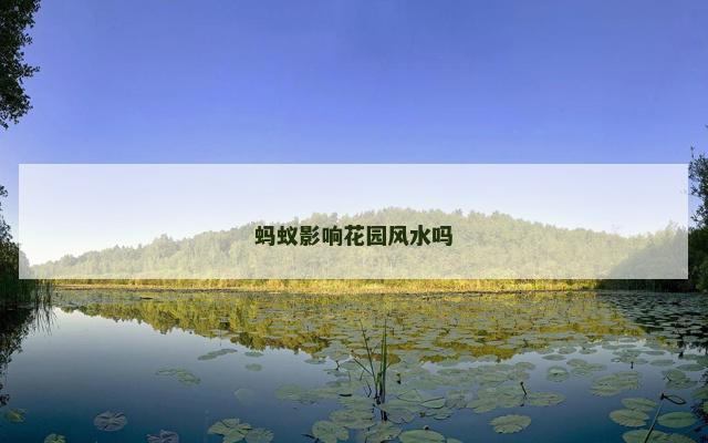 蚂蚁影响花园风水吗