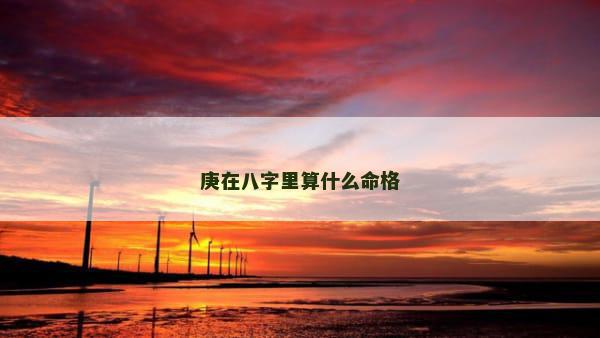 庚在八字里算什么命格