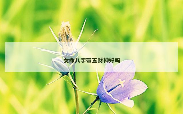 女命八字带五财神好吗