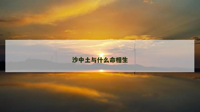 沙中土与什么命相生