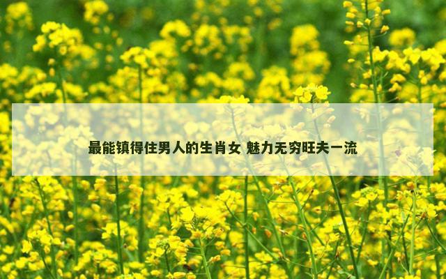 最能镇得住男人的生肖女 魅力无穷旺夫一流