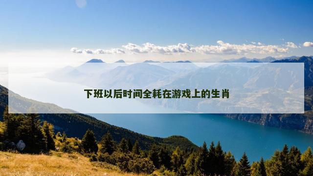 下班以后时间全耗在游戏上的生肖