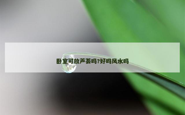 卧室可放芦荟吗?好吗风水吗